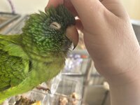 IMG_3993.jpeg