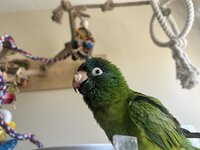 IMG_3994.jpeg