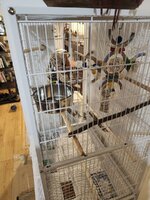 Cage 2.jpg Cage 2.jpg