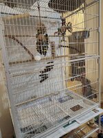 Cage 1.jpg Cage 1.jpg