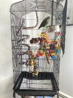 IMG_6935.jpeg