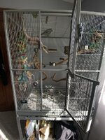 IMG_7850.jpeg
