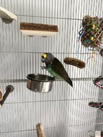 IMG_7842.jpeg
