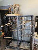 IMG_1295.jpeg