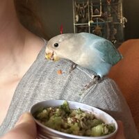 IMG_4881.jpeg