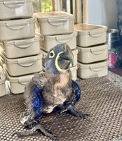 IMG_1440.jpeg
