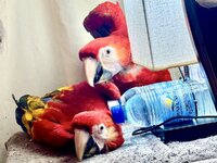 IMG_1552.jpeg