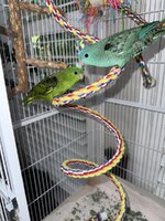 IMG_6161.jpeg
