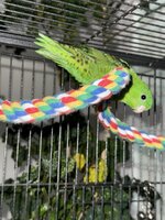 IMG_5700.jpeg