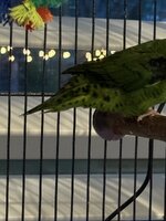 IMG_5707.jpeg