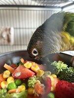 IMG_4553.jpeg