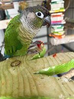 IMG_4558.jpeg
