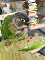 IMG_4560.jpeg