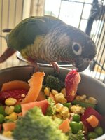 IMG_4562.jpeg