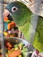 IMG_4567.jpeg