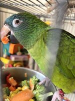 IMG_4566.jpeg