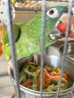 IMG_4570.jpeg