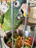 IMG_4568.jpeg