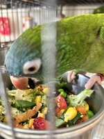 IMG_4609.jpeg