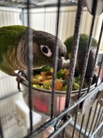 IMG_4616.jpeg