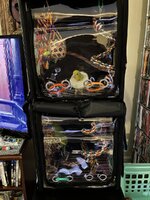IMG_0900.jpeg