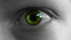 eye - hazel green.jpg