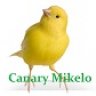 Canary Mikelo