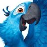 Mr. Macaw