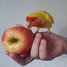steph&bird