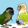 TextsFromParrots