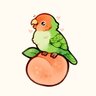 PippinDad