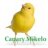 Canary Mikelo