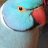 Birdie Love