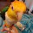 AKBirdNerd