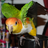 Rednecked