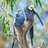 Parrotlv